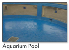 Aquarium Pool