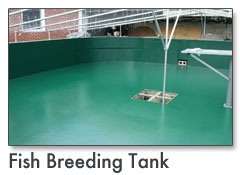 Fish Breeding Tank